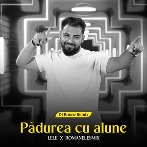 Padurea cu alune (Dj Bonne Remix)