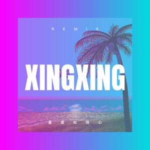 星星知我心 (Remix)