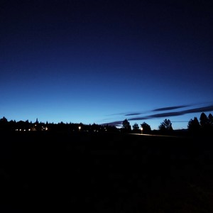 年轮-BleakX