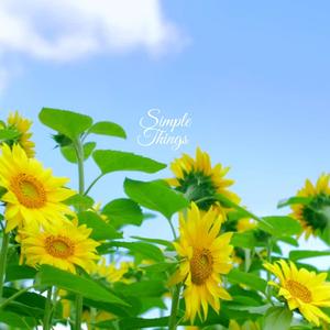 Simple Things (Remix)