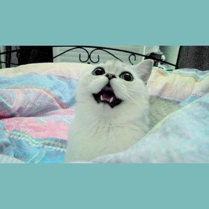 九张机——《双世宠妃》主题曲