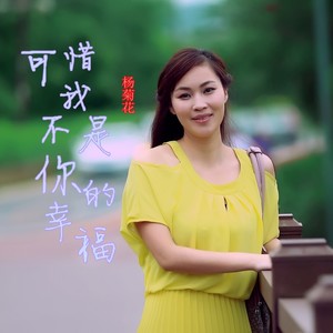 可惜我不是你要的幸福