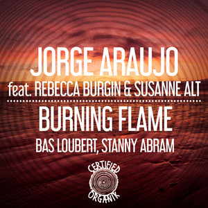 Burning Flame (Bas Loubert Radio Edit)