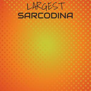 Largest Sarcodina