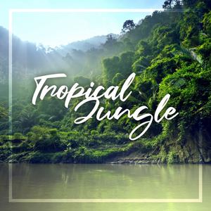 Tropical Jungle