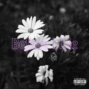 Before I Die (Explicit)