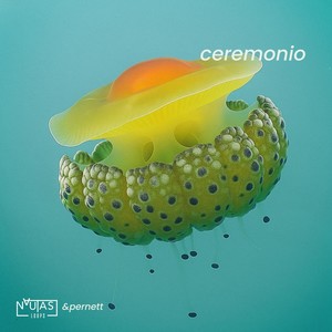 Ceremonio