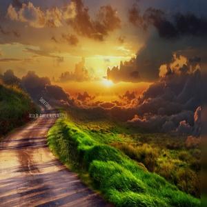 Acid To Africa (Main Muscle)