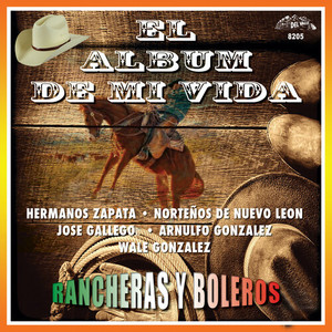 El Álbum De Mi Vida (Rancheras Y Boleros)