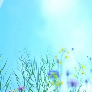 织雪 (おりゆき) - 青い約束（蓝色的约定）