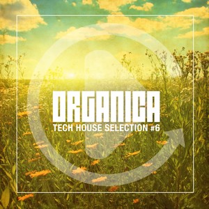 Lonber Attract (Tini Remix)