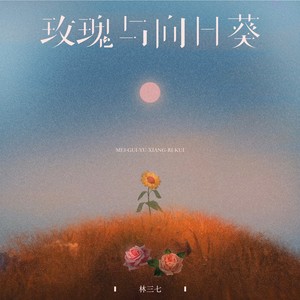 玫瑰与向日葵
