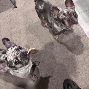 Uncle Phil (Explicit)