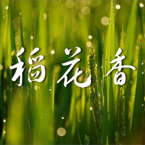 稻花香 (Demo)
