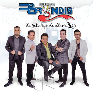 La Gata Bajo La Lluvia