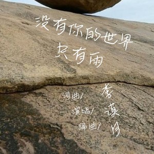 没有你的世界只有雨 (伴奏)