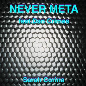 Never Meta (feat. Dan Crimes)