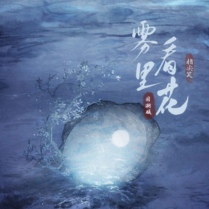 雾里看花 (国潮版)