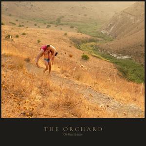 The Orchard