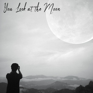 You Look at the Moon