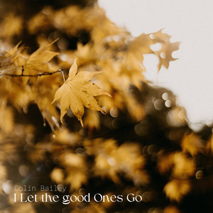 I Let The Good Ones Go