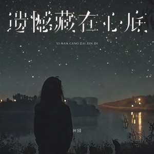 田园 - 遗憾藏在心底 (DJ西米版)