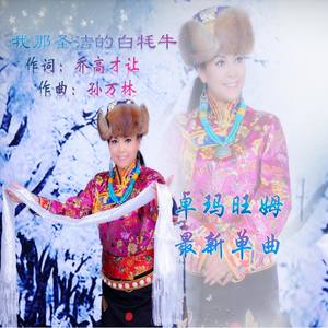 我那圣洁的白牦牛
