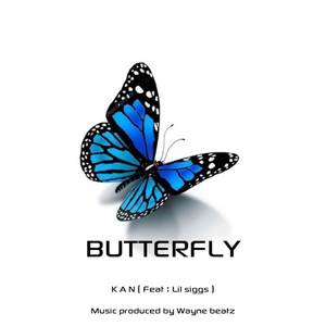 Butterfly (feat. Lil siggs)