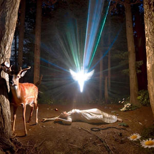 Рефлекс (Explicit)