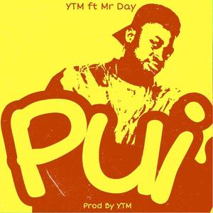 Pui (feat. Mr Day)