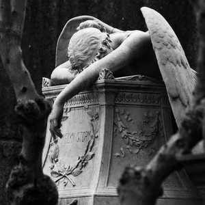 失联 (Out of contact)