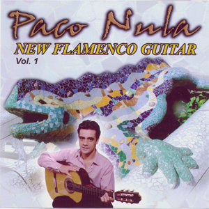 New Flamenco Guitar 1