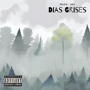 Dias Grises (feat. Pelco) (Explicit)