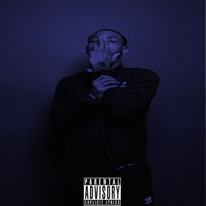 Pussc Nigga(feat. Ace Spade) (Explicit)