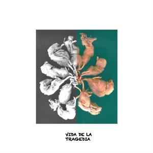 VIDA DE LA TRAGEDIA (feat. María en la Luna)