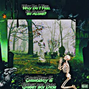 Why Do I Feel So Alone? (feat. Ghost Boi Dxm) (Explicit)