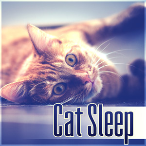 Cat Sleep - Relaxing Melodies to Calm Down Your Pet