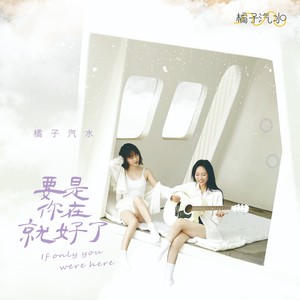 要是你在就好了