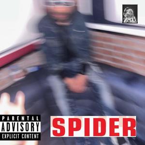 Spider (Explicit)