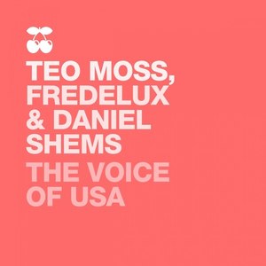 The Voice of the USA (Yes We Dub Def Mix)