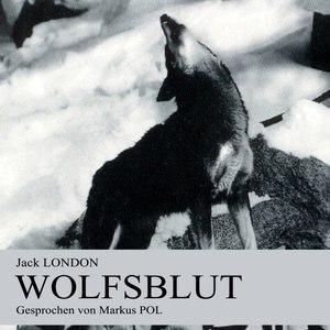 Kapitel 3: Wolfsblut I (Teil 6)