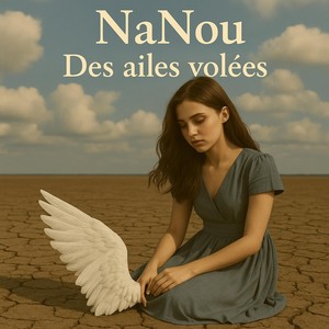 Des Ailes Volées