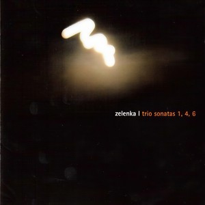 6 Sonatas, ZWV 81, No. 4 in G Minor - I. Andante
