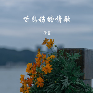 听悲伤的情歌封面