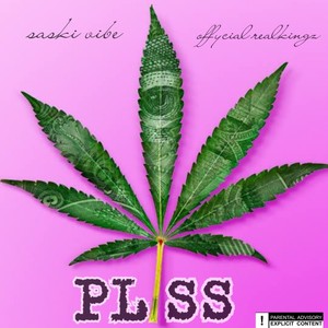 PLISS (feat. Offycial realkingz) [Explicit]