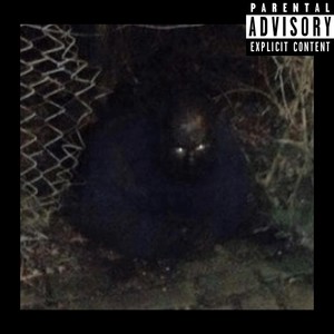 THINGS I NEED (Explicit)
