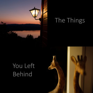 The Things You Left Behind