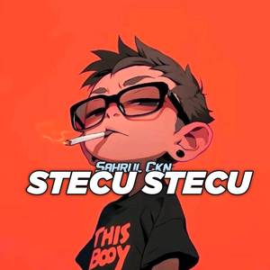 DJ Stecu Stecu