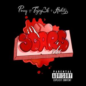 Scars (feat. Teejay3k & Habitzz) (Explicit)