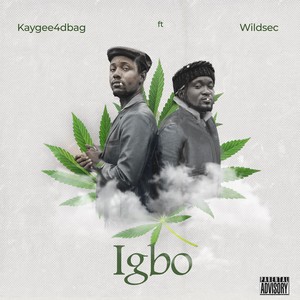 IgBo (Explicit)